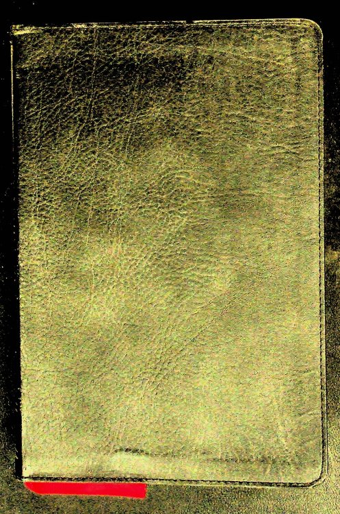 HCSB Large Print Personal Size Bible, Black LeatherTouch