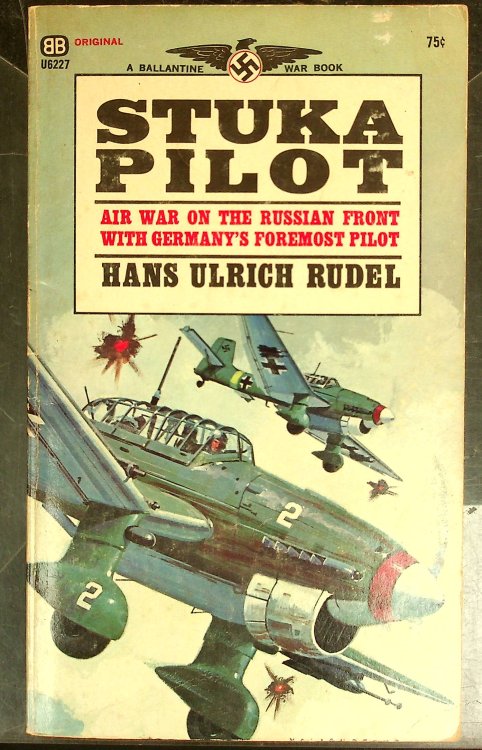 Stuka Pilot