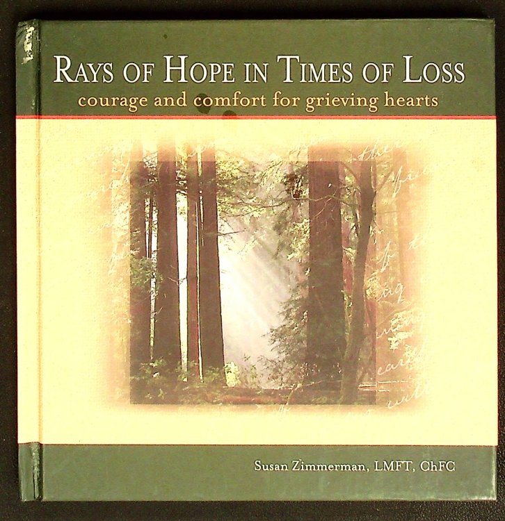 Rays of Hope in Times of Loss: Courage and Comfort for Grieving Hearts