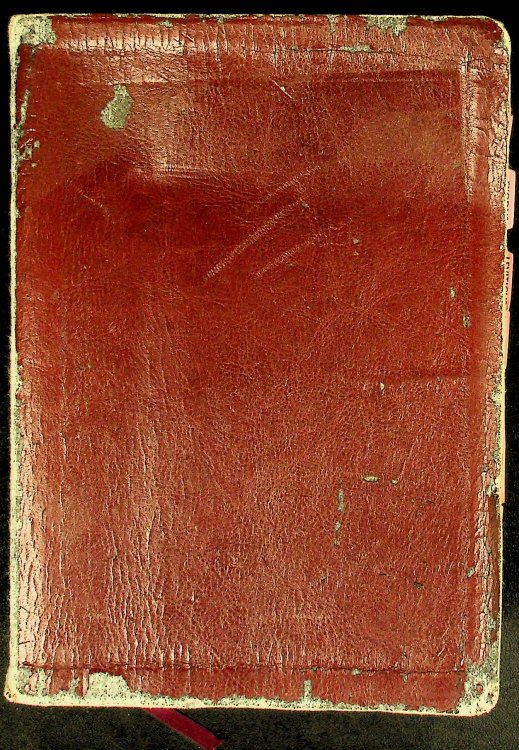 Life Application Study Bible: NLT1