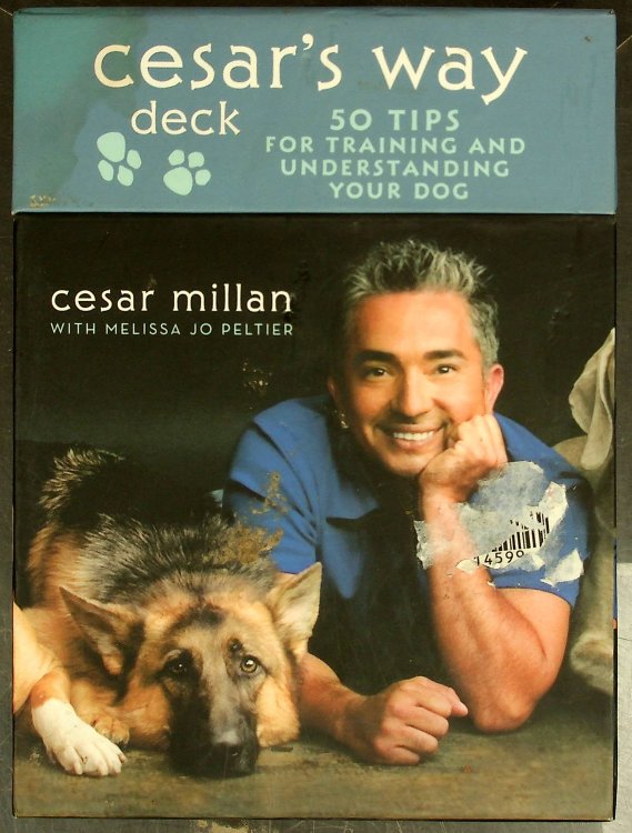 Cesar's Way Deck: 50 Tips for Training and Understanding Your Dog