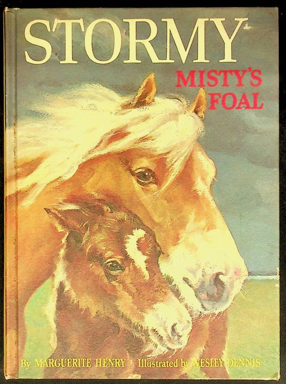 Stormy, Misty's Foal