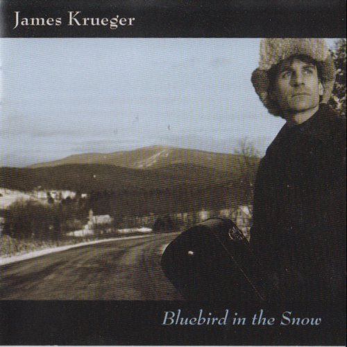 Bluebird in the Snow