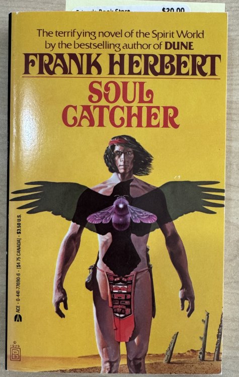 Soul Catcher