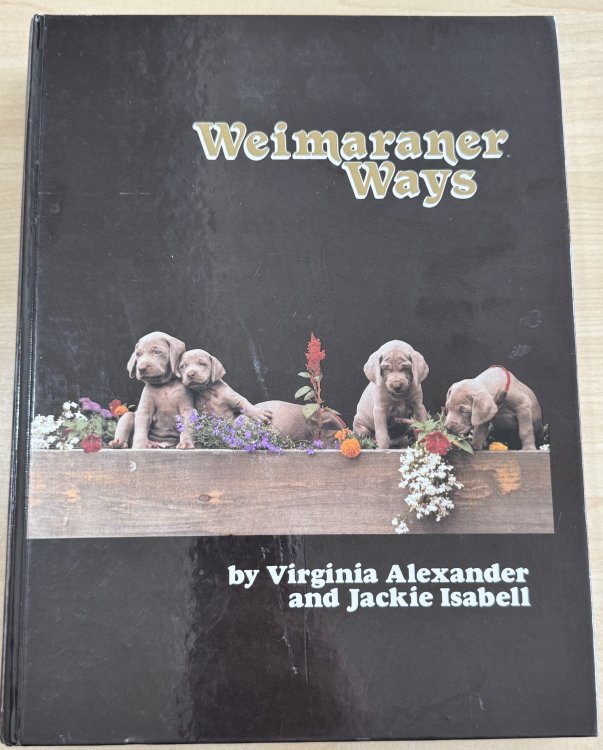 Weimaraner Ways