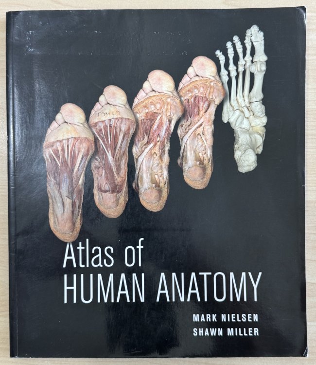 Atlas of Human Anatomy
