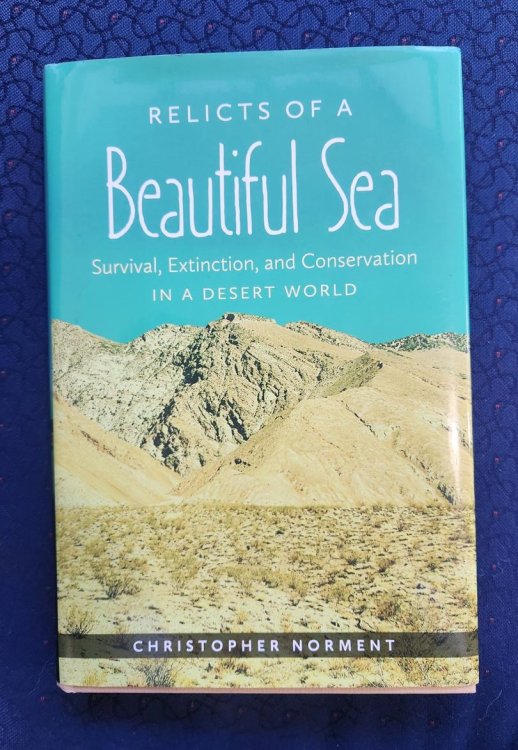 Relicts of a Beautiful Sea: Survival, Extinction, and Conservation in a Desert World
