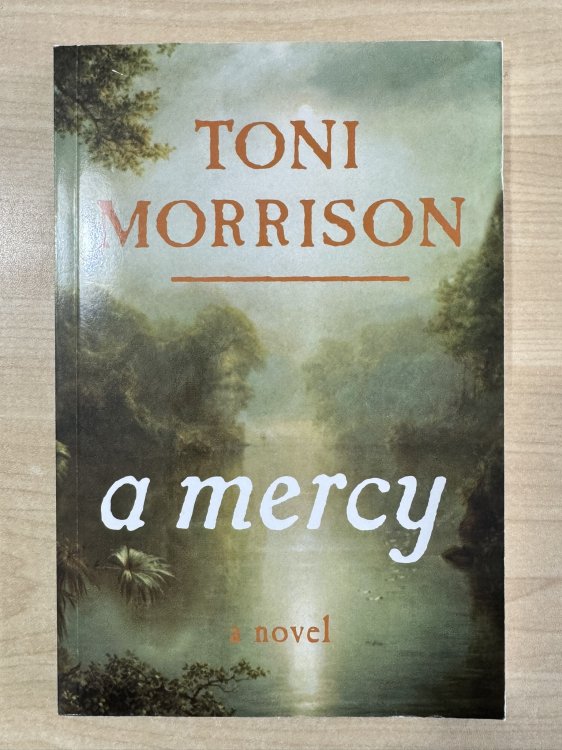 a mercy - Trade Book