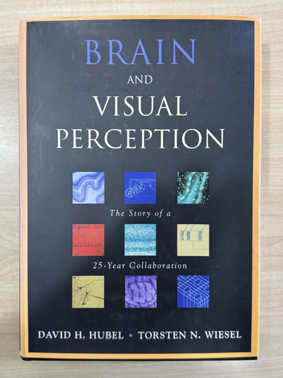 Brain and Visual Perception: The Story of a 25-Year Collaboration