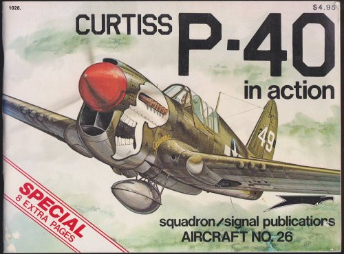 CURTISS P-40 IN ACTION