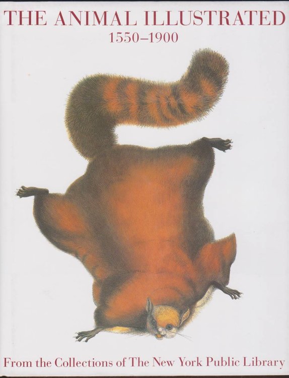 THE ANIMAL ILLUSTRATED 1550-1900: FROM THE COLLECTIONS OF THE NEW YORK PUBLIC LIBRARY