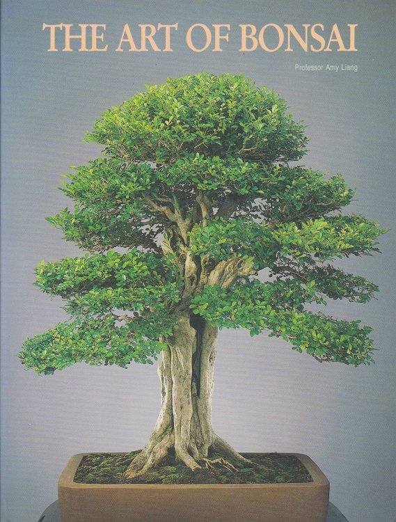 THE ART OF BONSAI