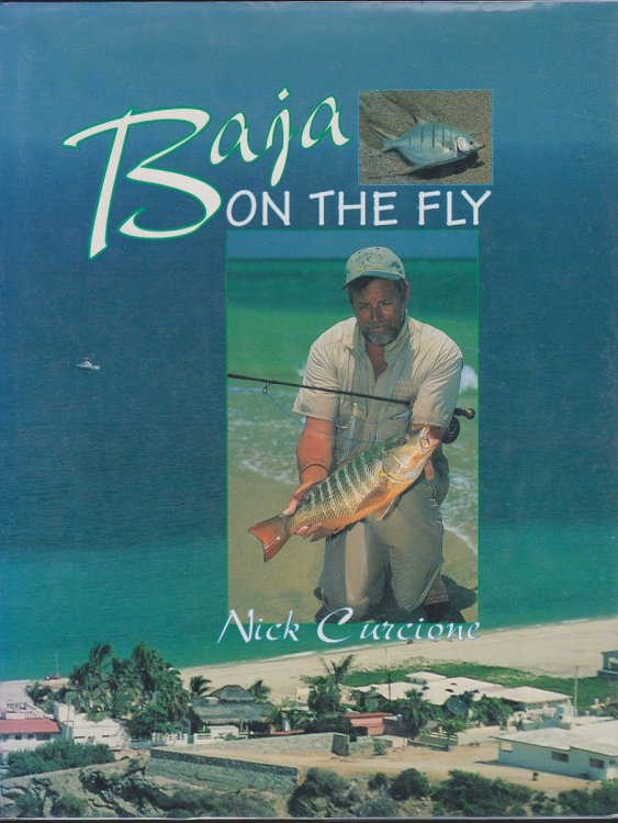 BAJA ON THE FLY