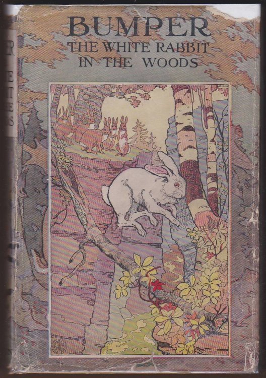 BUMPER THE WHITE RABBIT IN THE WOODS