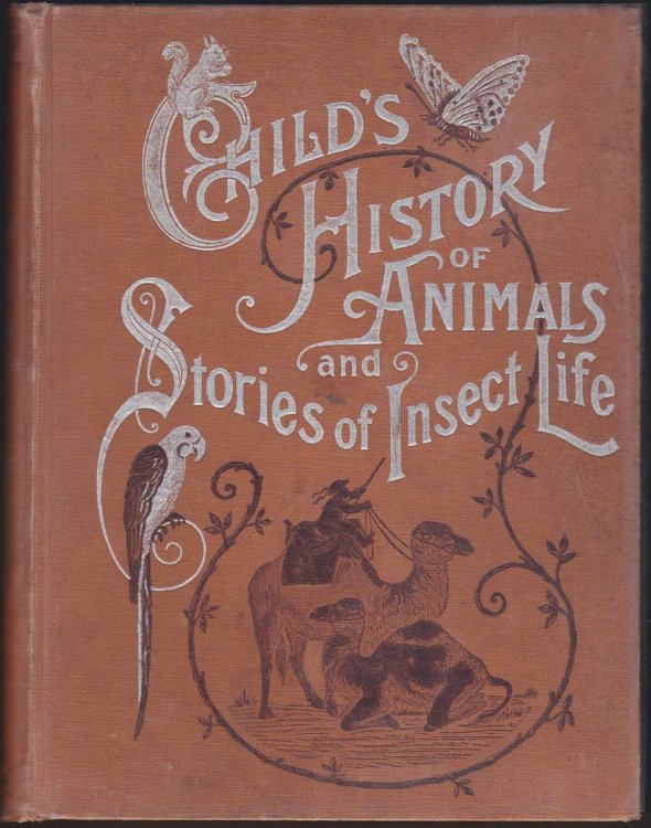 CHILD'S HISTORY OF ANIMALS AND STORIES OF INSECT LIFE IN EASY LANGUAGE: A COMPLETE NATURAL HISTORY FOR YOUTH
