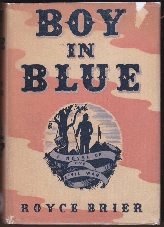 BOY IN BLUE: A NOVEL OF THE CIVIL WAR