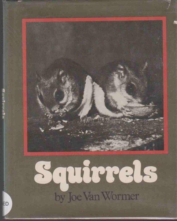 SQUIRRELS