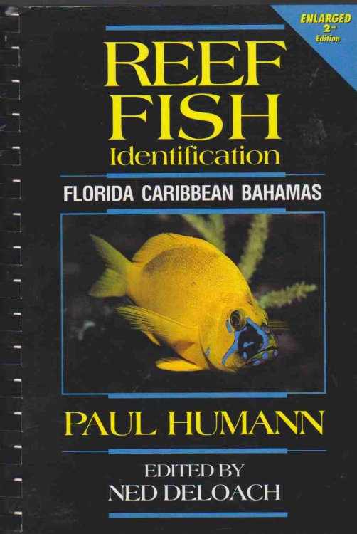 REEF FISH IDENTIFICATION Florida, Caribbean, Bahamas