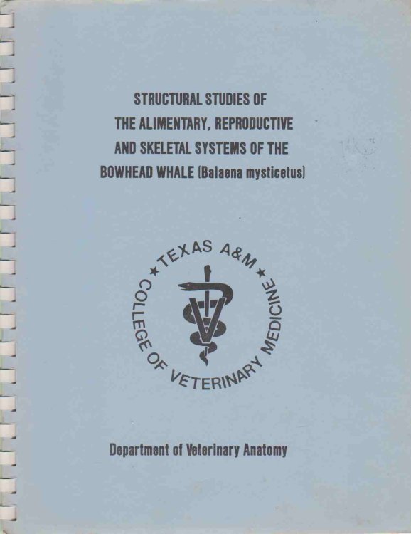 STRUCTURAL STUDIES OF THE ALIMENTARY, REPRODUCTIVE AND SKELETAL SYSTEMS OF THE BOWHEAD WHALE (BALAENA MYSTICETUS)