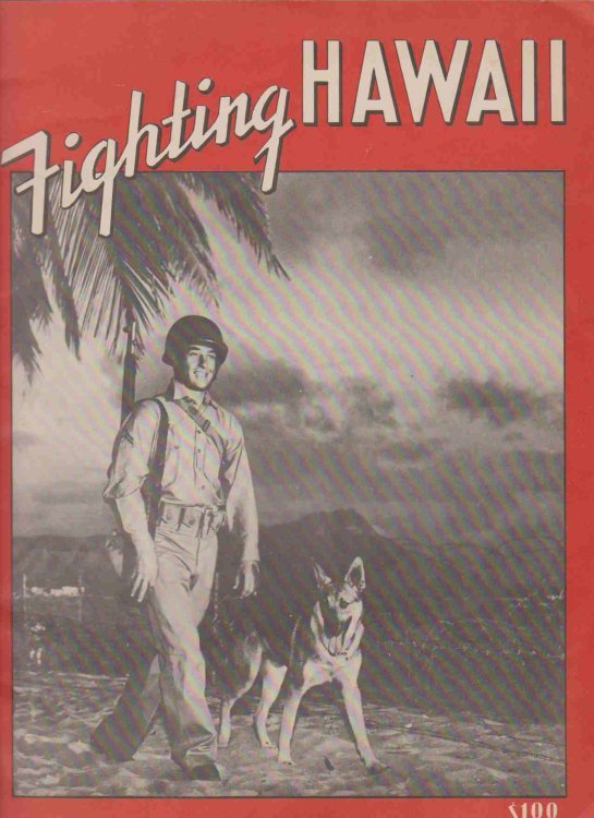 FIGHTING HAWAII