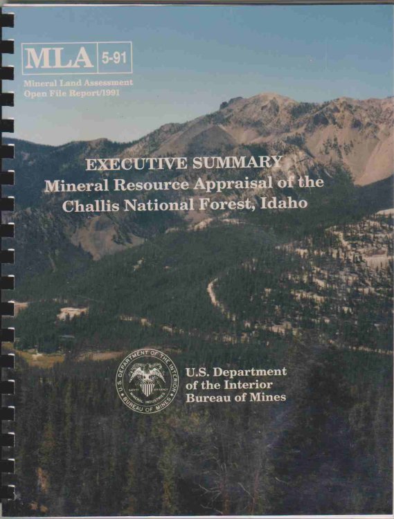 EXECUTIVE SUMMARY MINERAL RESOURCE APPRAISAL OF THE CHALLIS NATIONAL FOREST, IDAHO. MLA 5-91