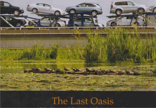 THE LAST OASIS Man, Beast and the Transcendent City Marsh