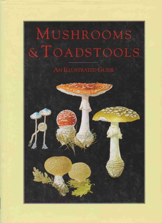MUSHROOMS & TOADSTOOLS