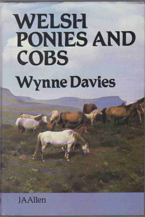 WELSH PONIES AND COBS