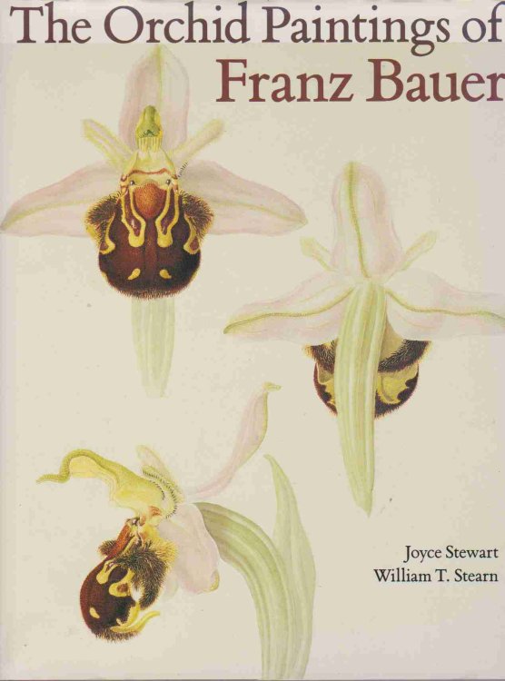 THE ORCHID PAINTINGS OF FRANZ BAUER