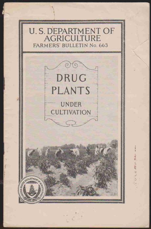 DRUG PLANTS UNDER CULTIVATION