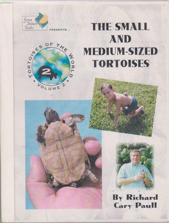 ALL THE SMALL AND MEDIUM-SIZED TORTOISES