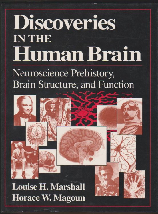 DISCOVERIES IN THE HUMAN BRAIN Neuroscience Prehistory, Brain Structure, and Function
