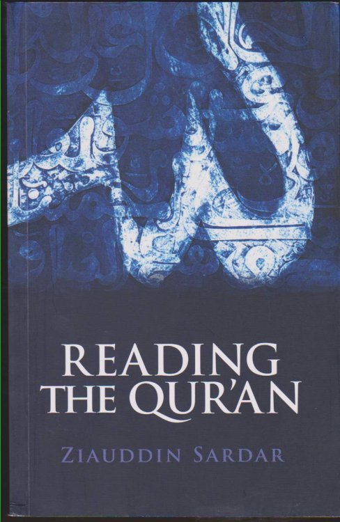 Image for READING THE QUR'AN READING THE QUR'AN