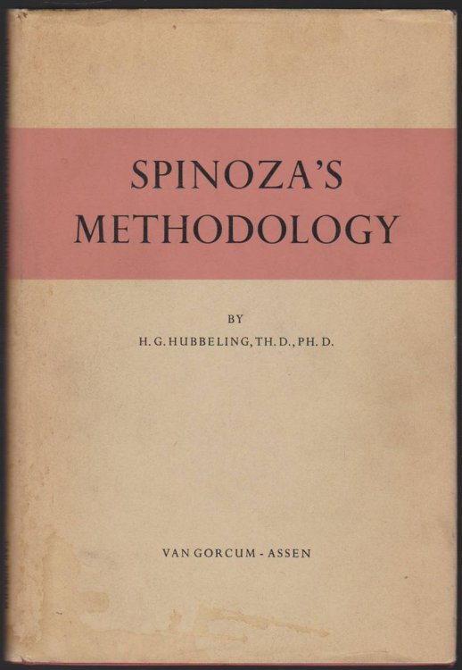 SPINOZA'S METHODOLOGY