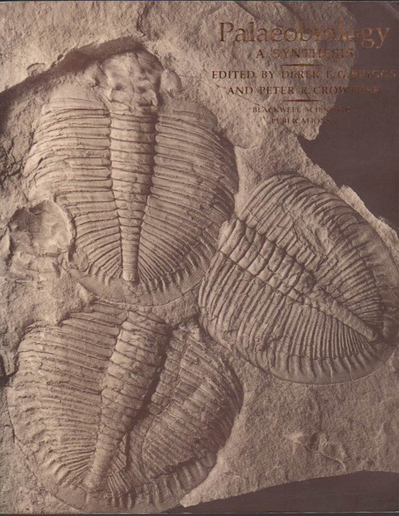 PALAEOBIOLOGY