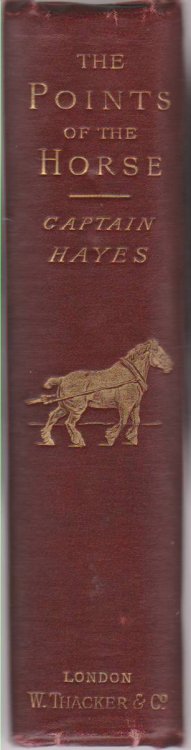 THE POINTS OF THE HORSE A Familiar Treatise on Equine Conformation