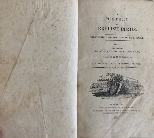 A HISTORY OF BRITISH BIRDS The Figures Engraved on Wood by T. Bewick (In Two Volumes. Includes Supplement)