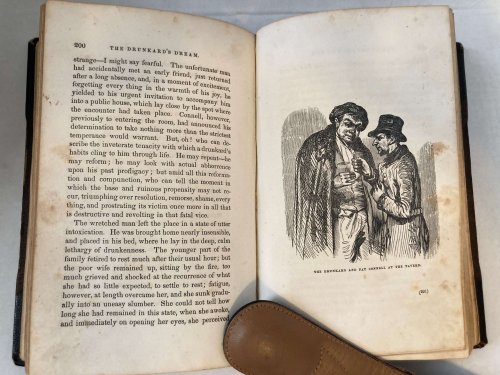 THE FOUNTAIN AND THE BOTTLE; COMPRISING THRILLING EXAMPLES OF THE OPPOSITE EFFECTS OF TEMPERANCE AND INTEMPERANCE