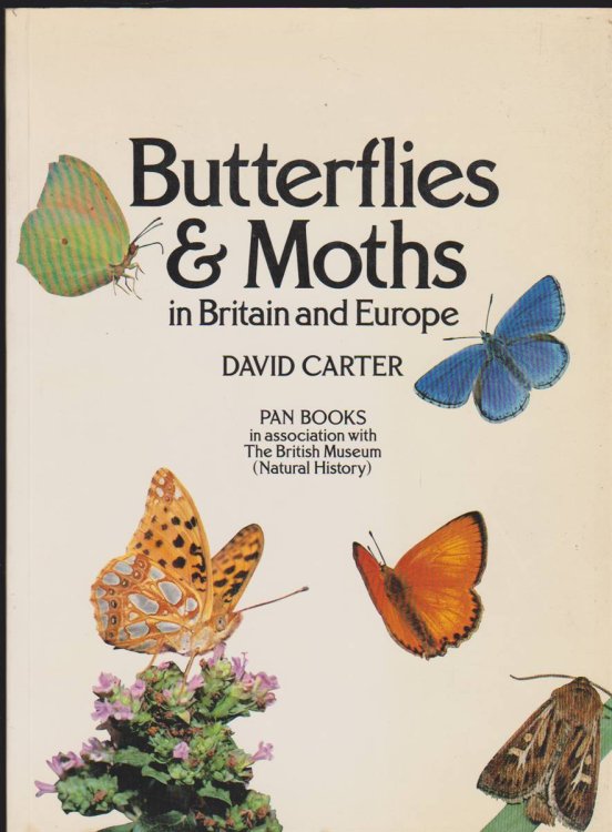 BUTTERFLIES AND MOTHS IN BRITAIN AND EUROPE