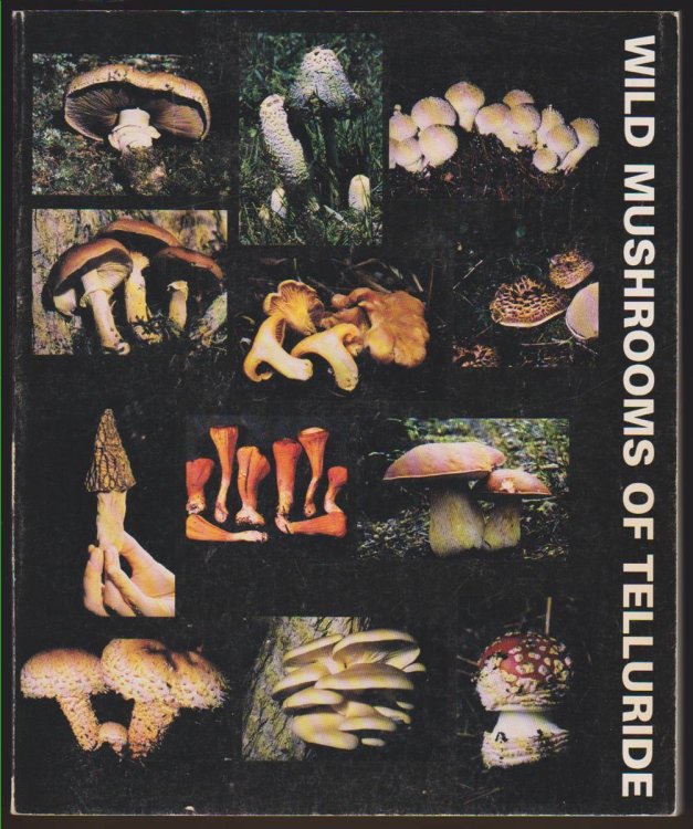 WILD MUSHROOMS OF TELLURIDE