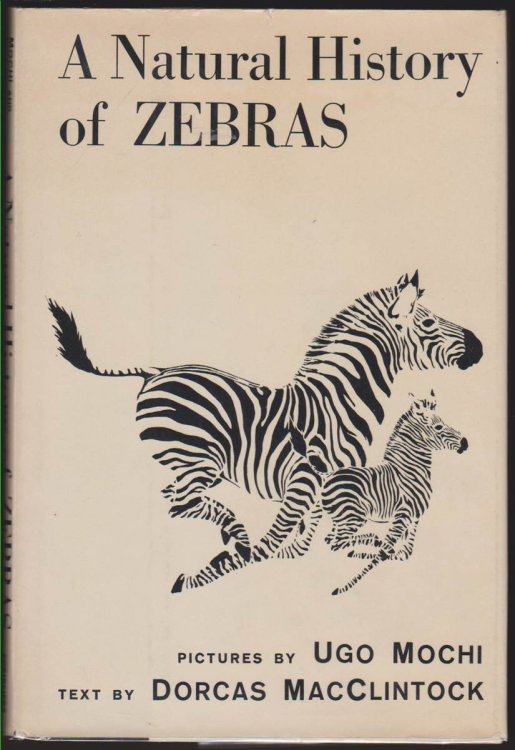A NATURAL HISTORY OF ZEBRAS