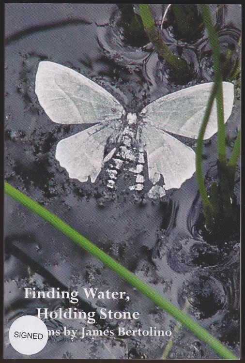 FINDING WATER, HOLDING STONE