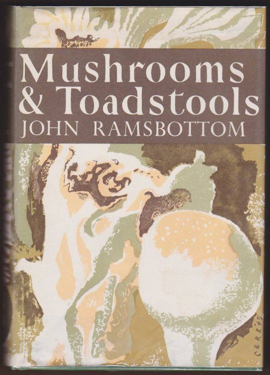 MUSHROOMS & TOADSTOOLS A STUDY OF THE ACTIVITIES OF FUNGI