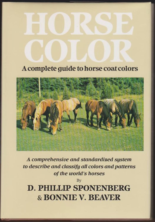 HORSE COLOR