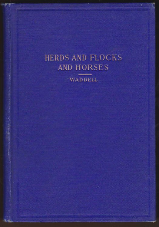HERDS AND FLOCKS AND HORSES