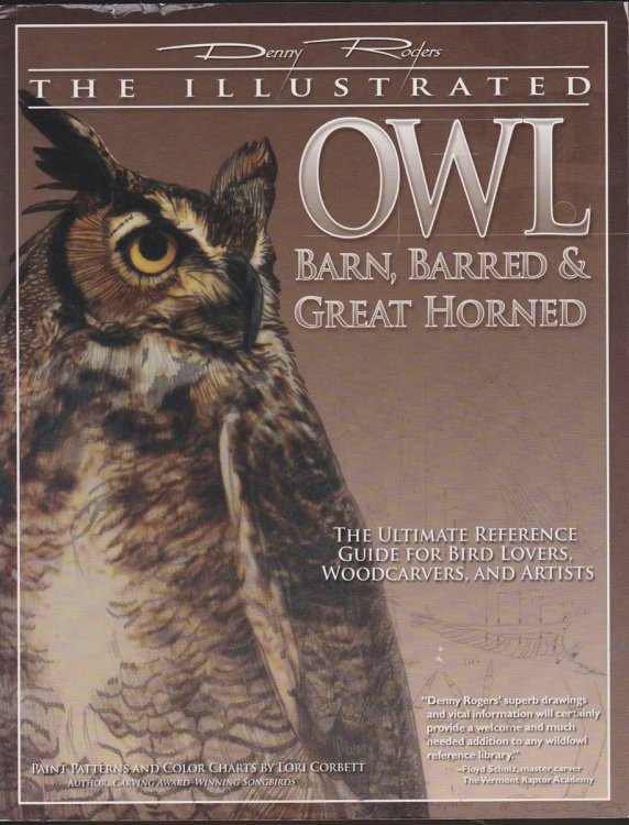 THE ILLUSTRATED OWL Barn, Barred & Great Horned: the Ultimate Reference Guide for Bird Lovers, Woodcarvers, and Artists with Paint Patterns and Color Charts by Lori Corbett