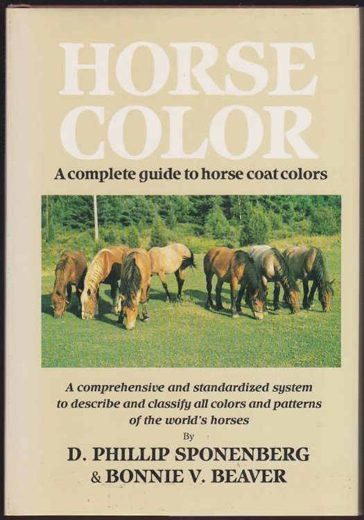 HORSE COLOR