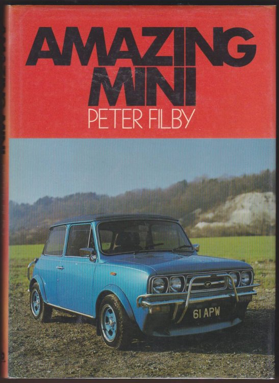 AMAZING MINI