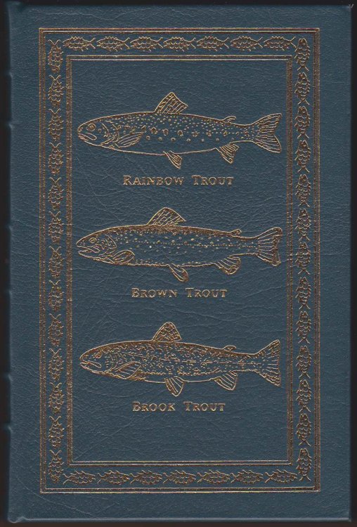 TROUT MADNESS