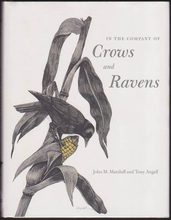 IN THE COMPANY OF CROWS AND RAVENS